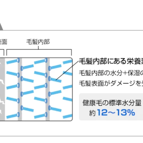 Slide-5