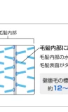Slide-5